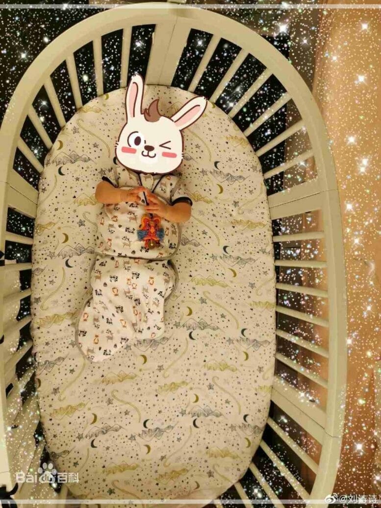 リウ シーシーの子どもは双子 名前は 旦那が原因で不妊治療してた 華流芸能headline